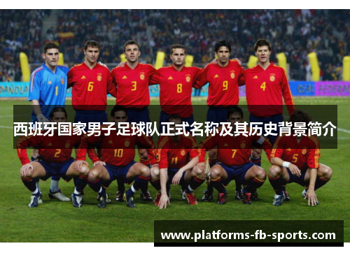 西班牙国家男子足球队正式名称及其历史背景简介